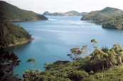 Port Abercrombie Great Barrier Island - photo by Kay Stowell